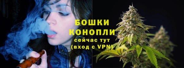 МДПВ Богородск