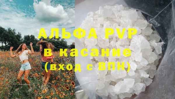 кокс Арсеньев
