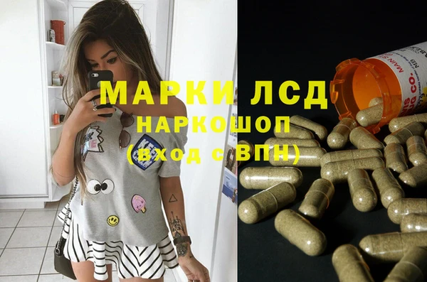 крисы Армянск